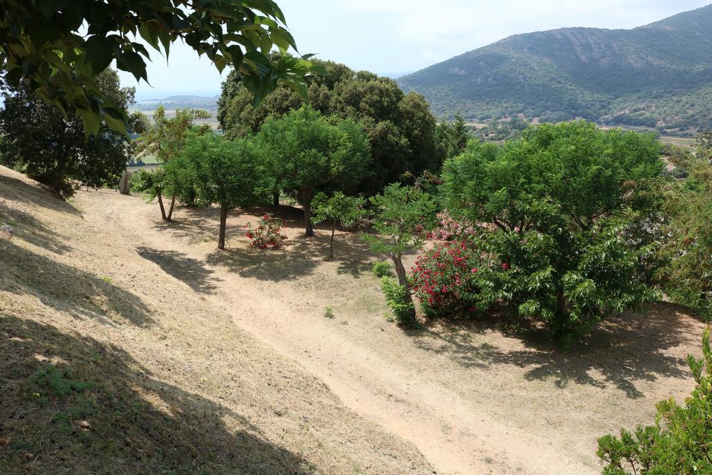Camping Les Couchants Casaglione Esterno foto