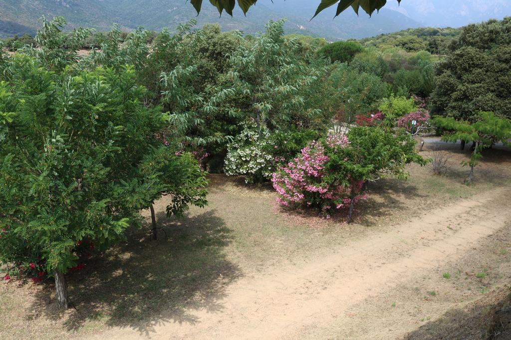Camping Les Couchants Casaglione Esterno foto